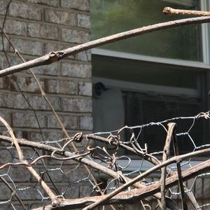 Meet your Posher, Channa